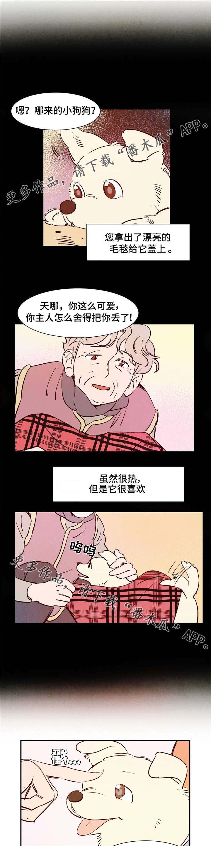 寻鳞之旅漫画图片漫画,第9章：遇见你之后2图