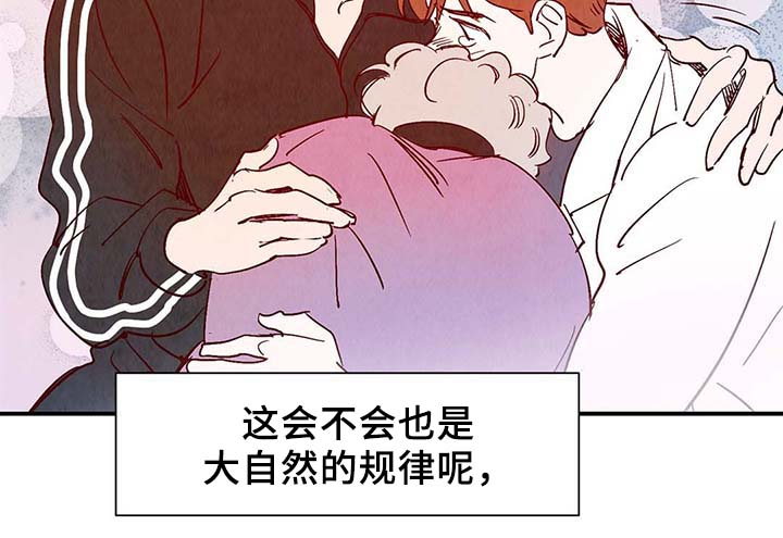 寻鳞之旅漫画图片漫画,第39章：上路2图