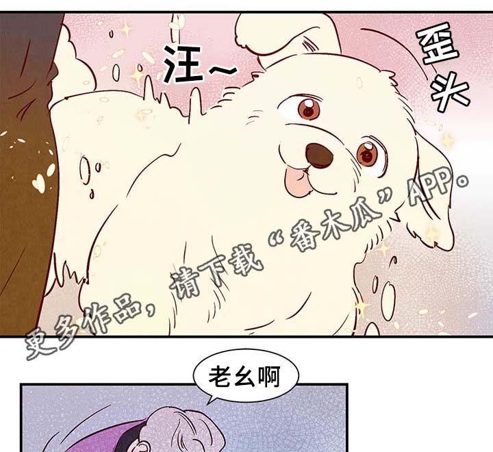 纪录片寻鳞漫画,第38章：让我见见它1图