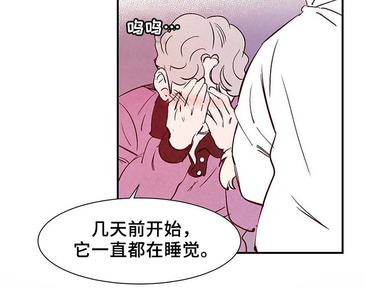 寻鳞之旅漫画还叫啥名漫画,第36章：面对死亡2图