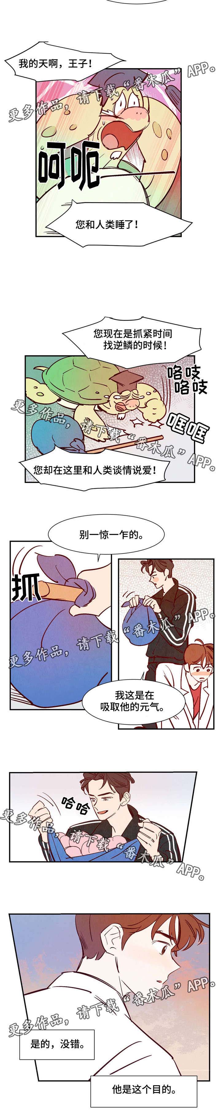 寻亲记第二季纪录片漫画,第18章：会说话的乌龟1图