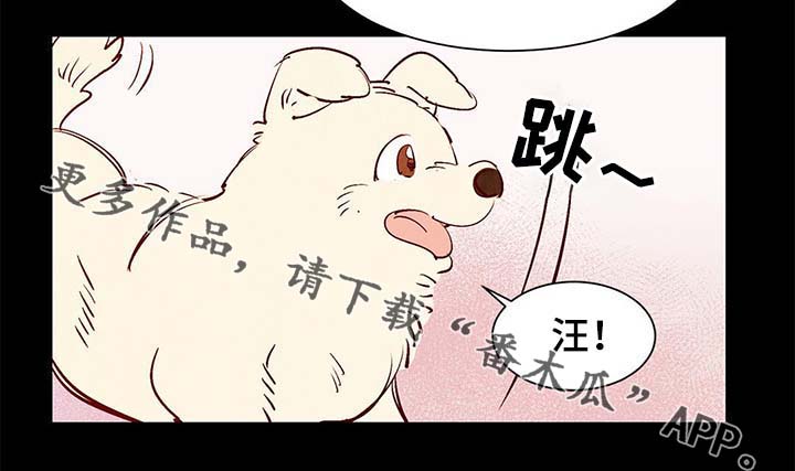 寻鳞之旅漫画图片漫画,第40章：老幺的故事1图