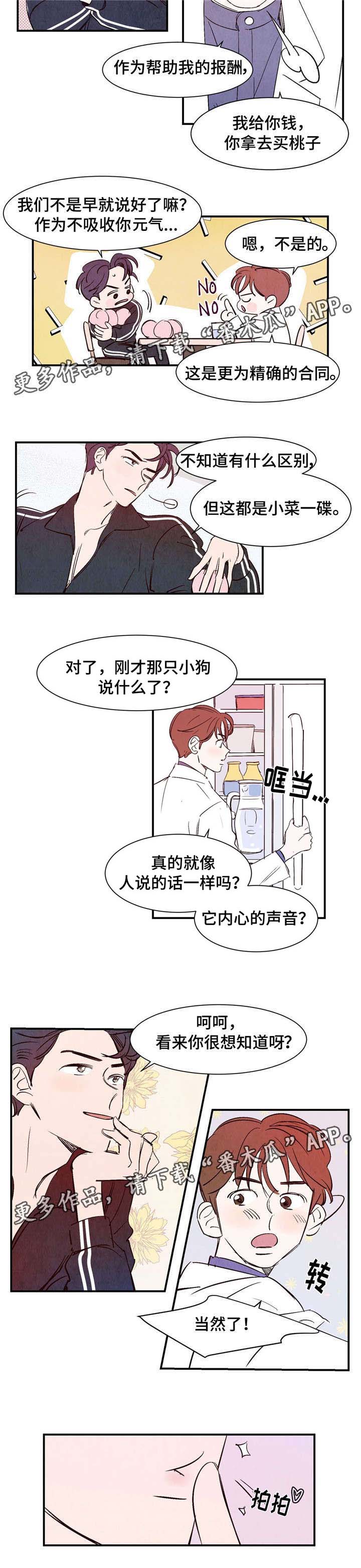 寻亲记第二季纪录片漫画,第10章：交易2图