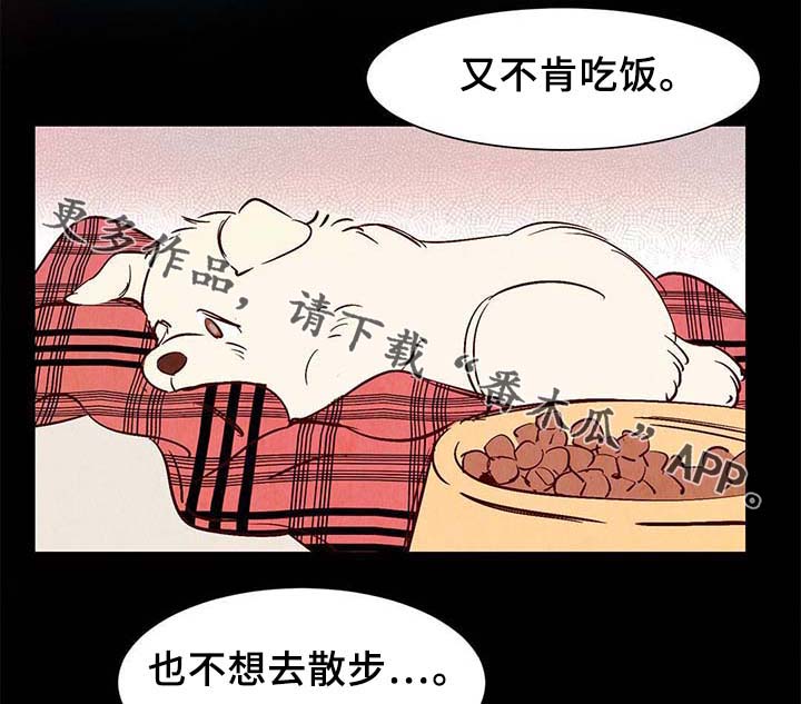 寻麟文化工作体验漫画,第36章：面对死亡1图