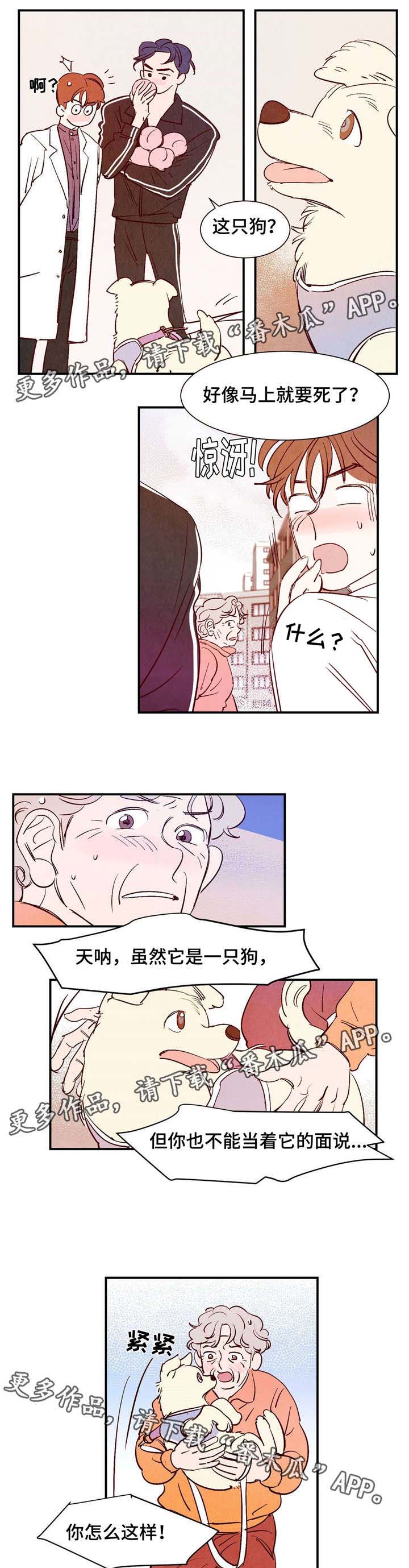 寻鳞之旅漫画图片漫画,第9章：遇见你之后1图