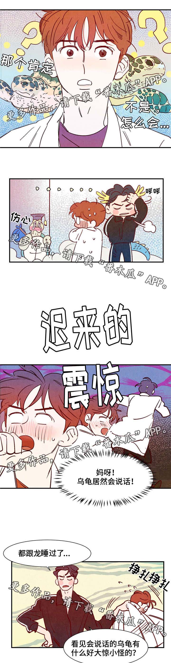 寻麟文化官网漫画,第18章：会说话的乌龟2图