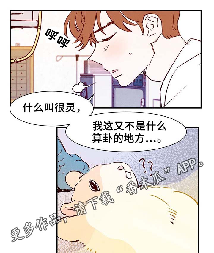 纪录片寻鳞漫画,第30章：电梯1图