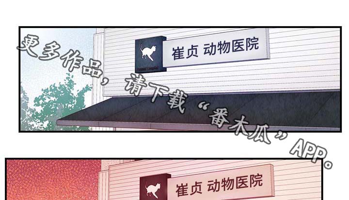 寻衅滋事罪立案标准漫画,第30章：电梯2图