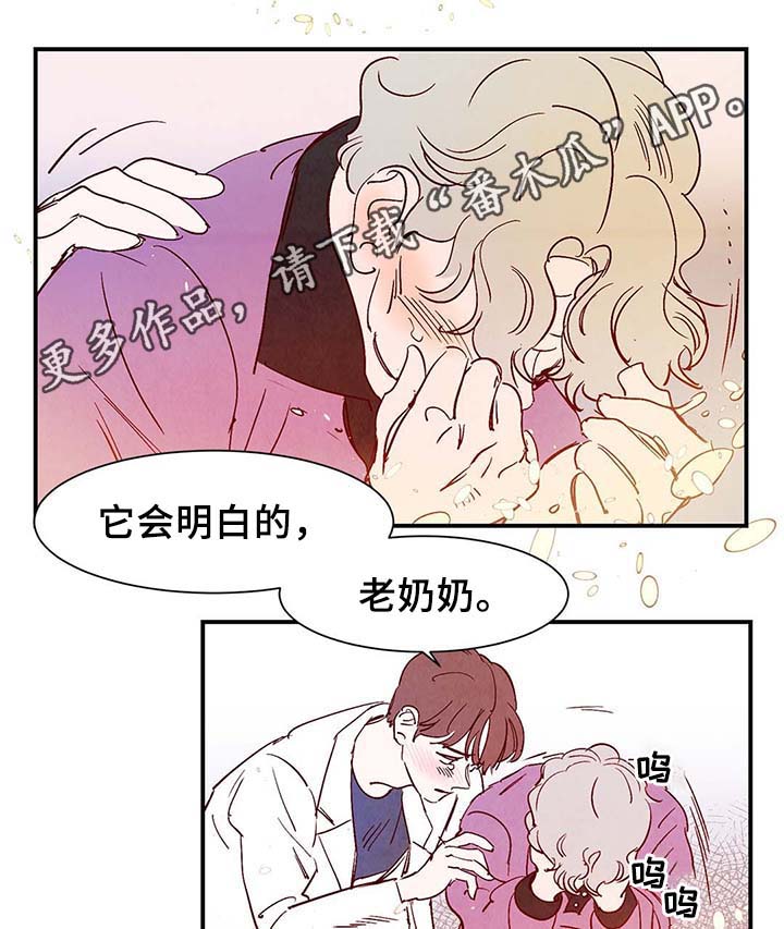 寻鳞之旅漫画图片漫画,第39章：上路1图