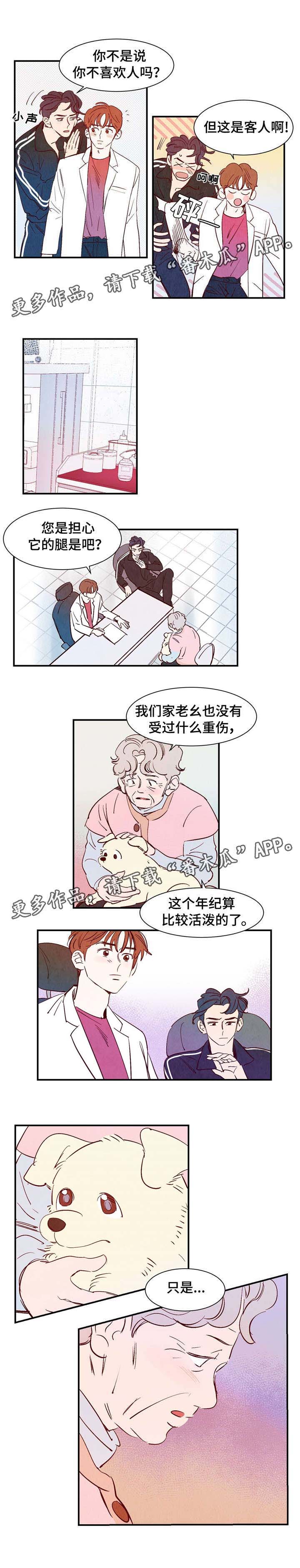 寻鳞之旅漫画,第14章：万神2图