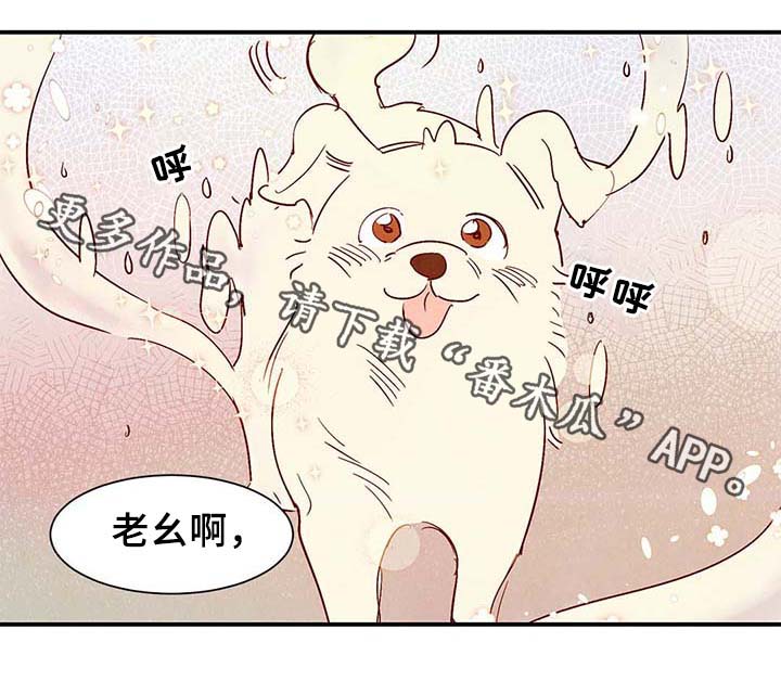 寻鳞之旅漫画免费在线观看漫画,第39章：上路1图