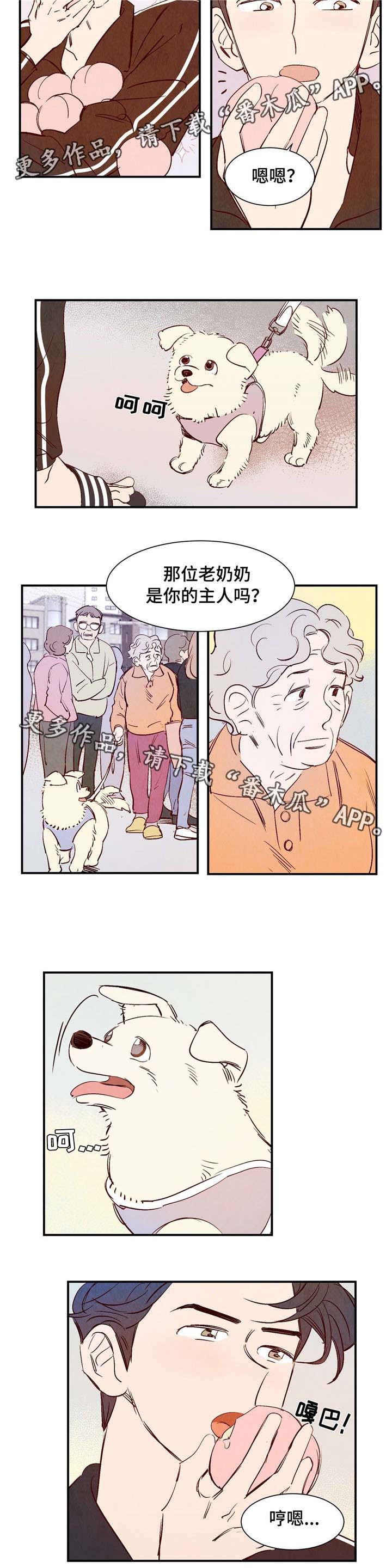 寻鳞之旅漫画还叫啥名漫画,第8章：有话要说2图