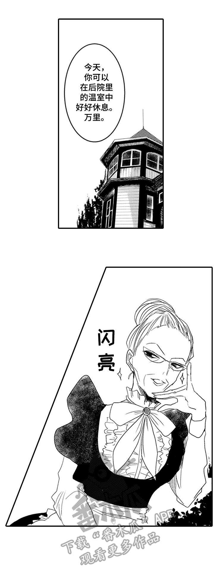 恶意惩罚漫画,第11章：喜欢1图