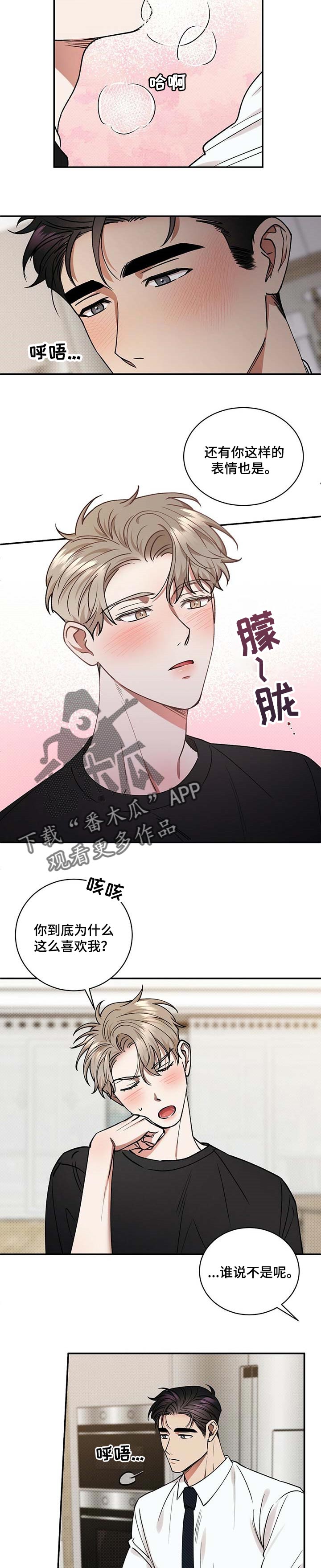 你公司炸了短剧在线看免费版漫画,第56章：无可救药的喜欢2图