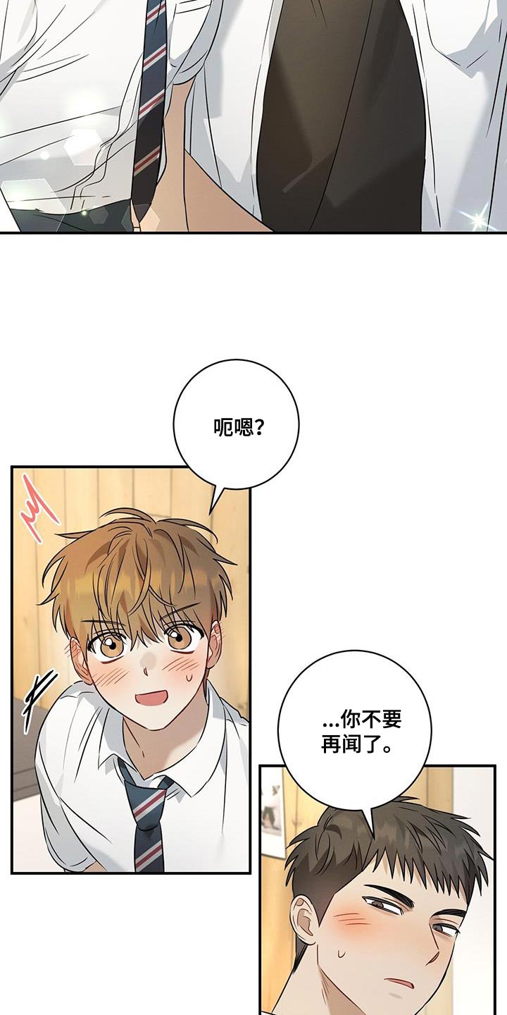 梅糖之恋漫画,第28章：香味2图