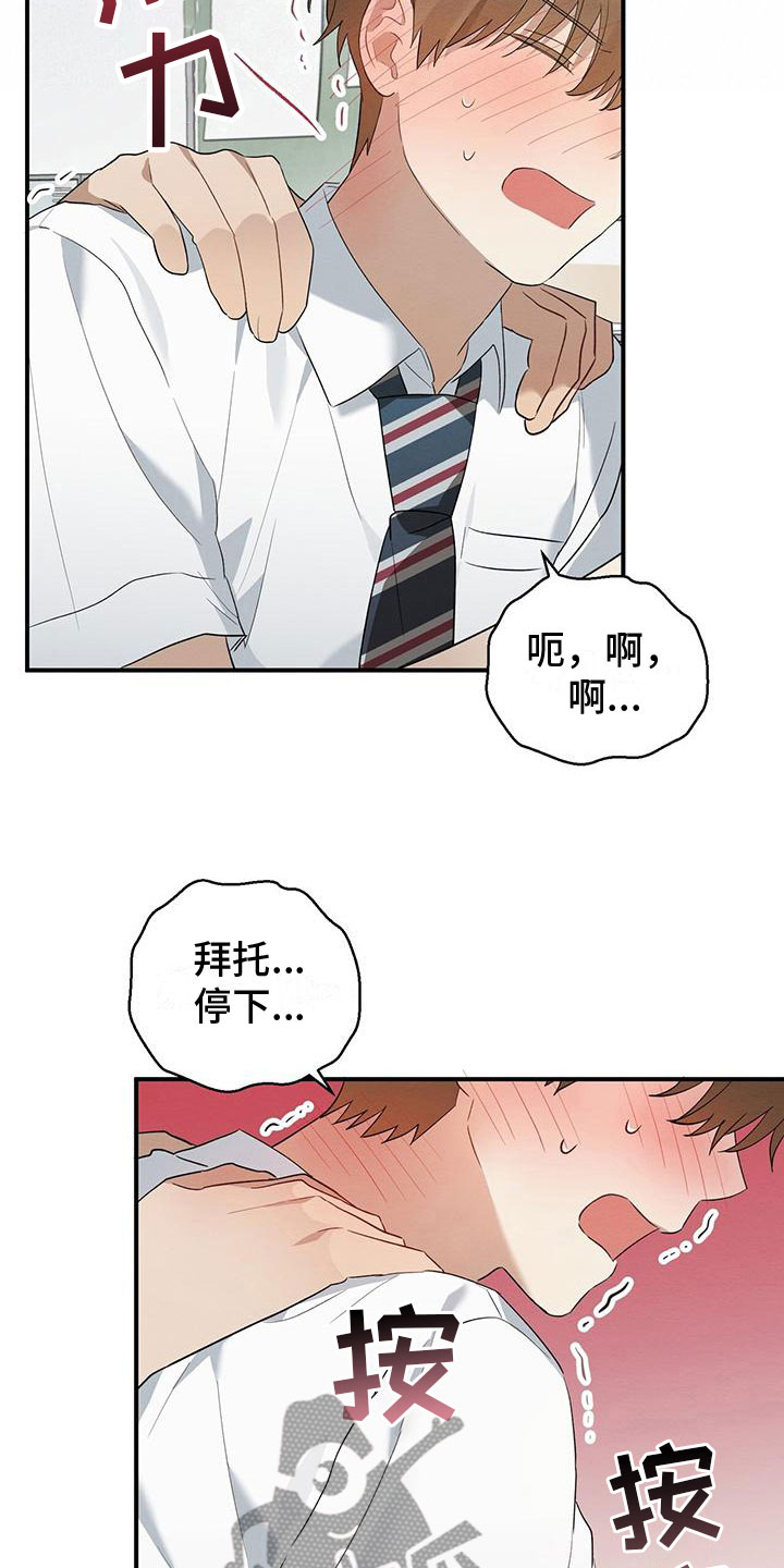 梅糖之恋最新章节更新漫画,第9章：迷上的原因1图