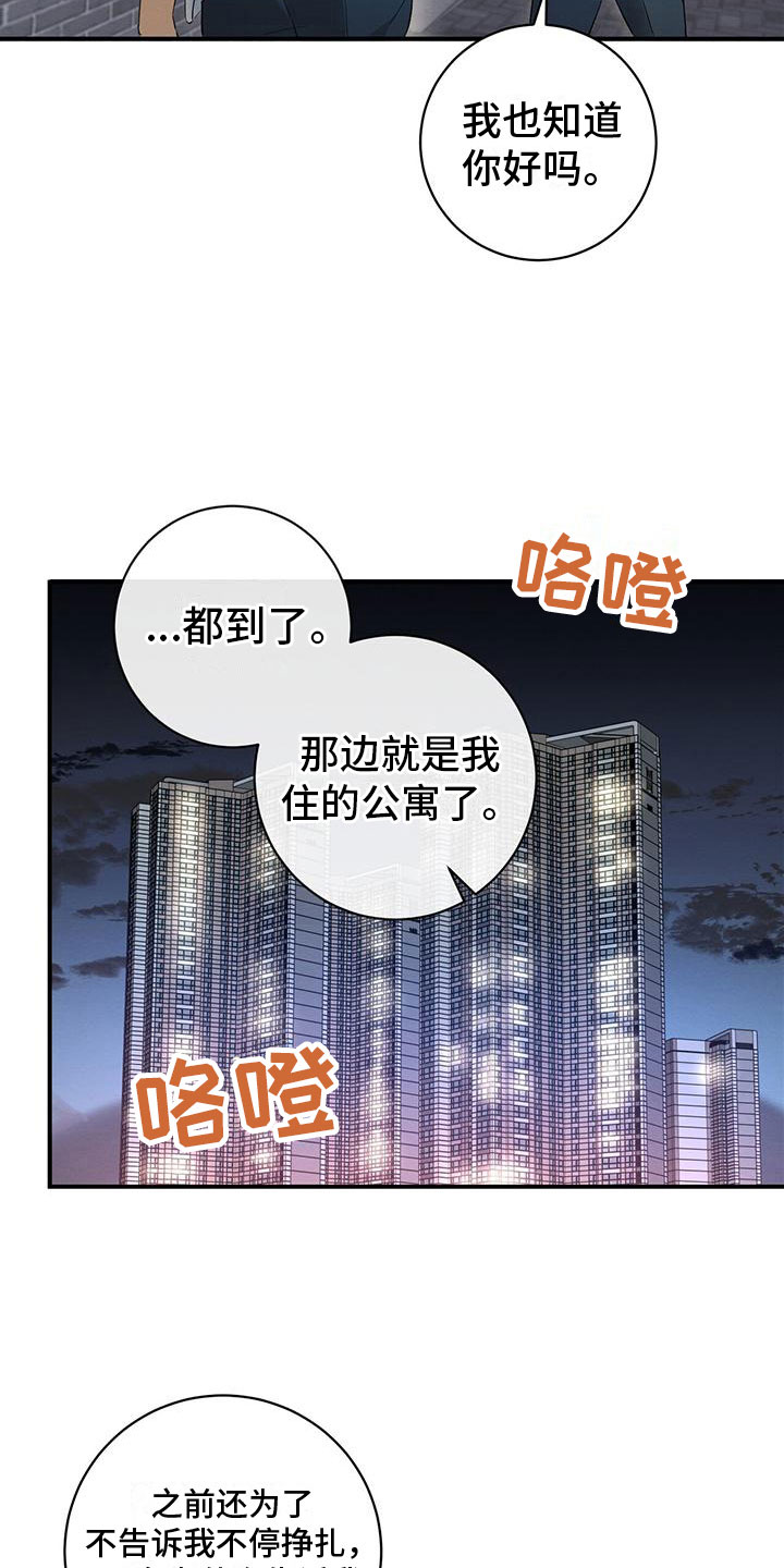 梅糖之恋漫画免费下拉漫画,第11章：针锋相对1图