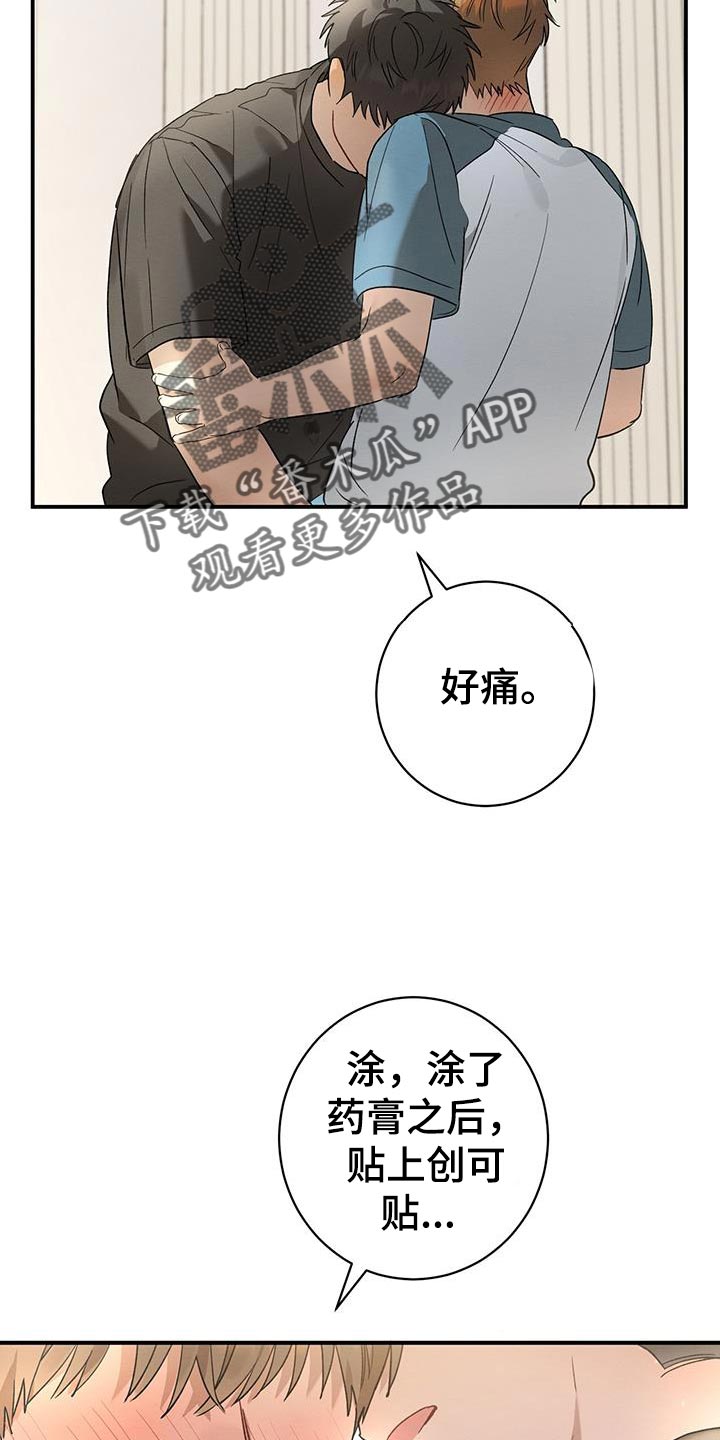 梅糖之恋最新章节更新漫画,第17章：害羞1图