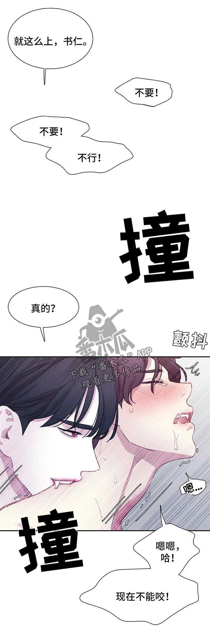 与血族共生漫画在哪看啊漫画,第37章：我的书仁1图