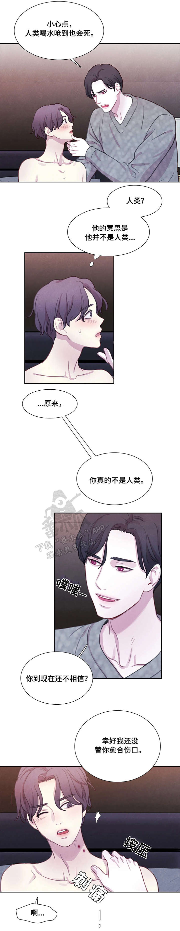 与血族共生漫画在哪看啊漫画,第16章：解释1图