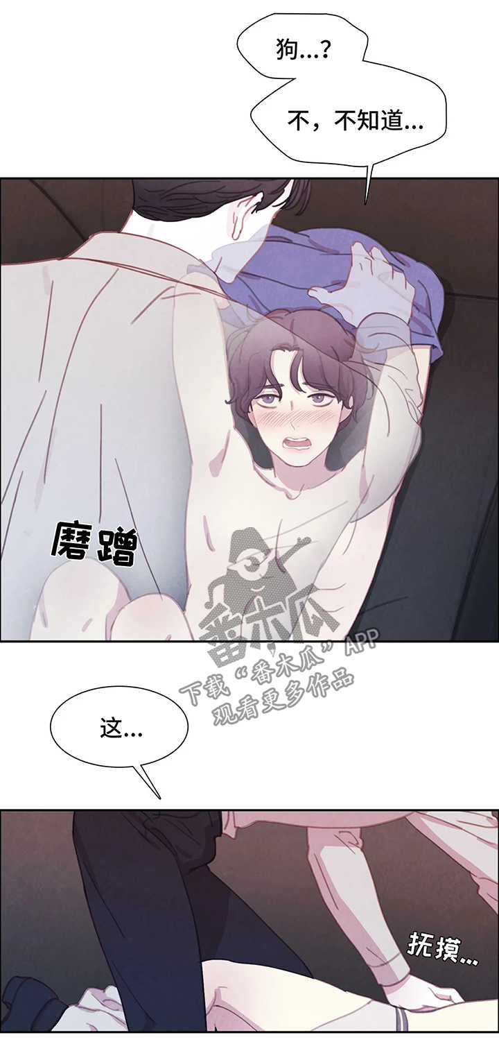 与血族共生免费观看漫画,第36章：享用晚餐1图