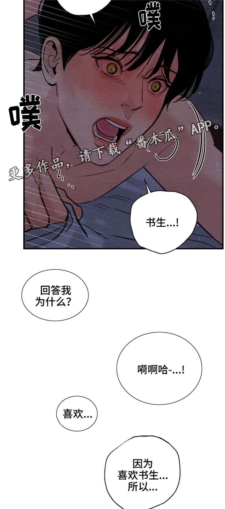 夜画漫画,第37章：我喜欢你1图