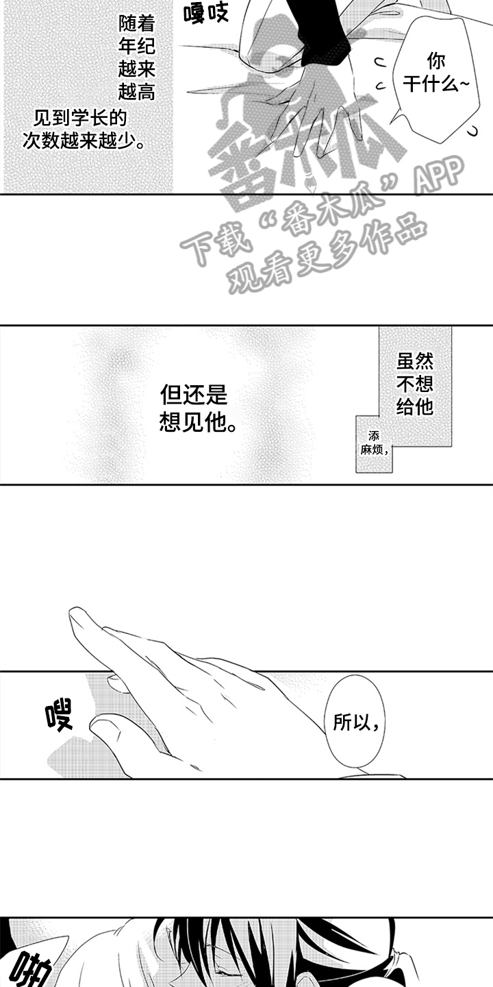 帅哥遇袭3漫画,第19章：身份1图