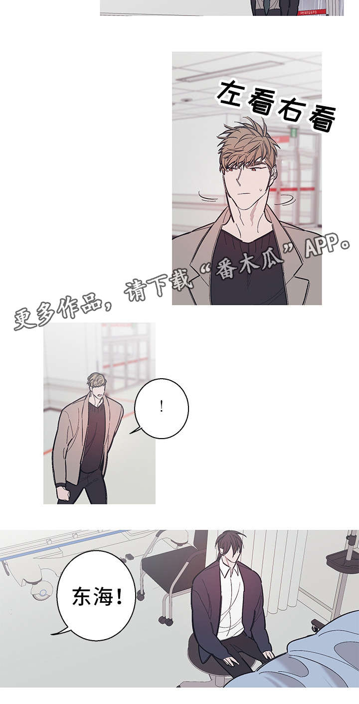 何以是爱小说漫画,第36章：隐瞒1图