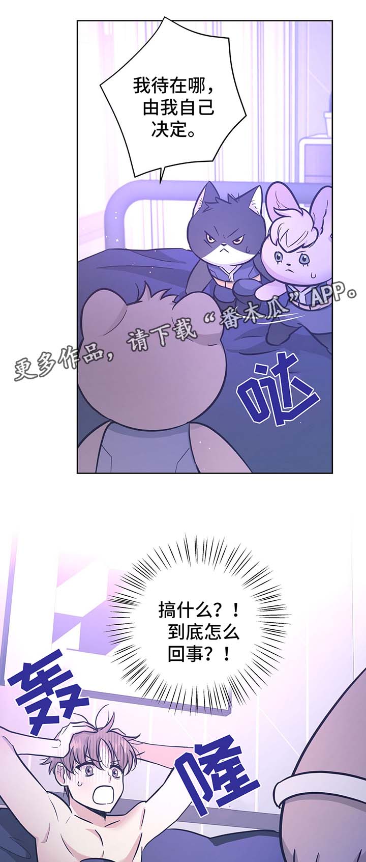 逃婚公主偶遇高冷王子漫画,第31章：结婚2图