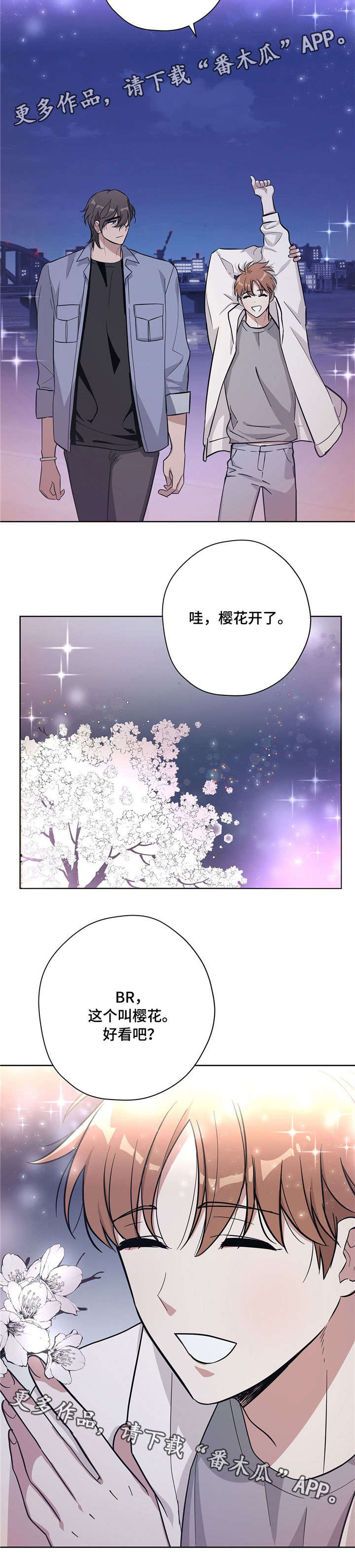 逃婚王妃全文免费阅读漫画,第20章：情侣2图