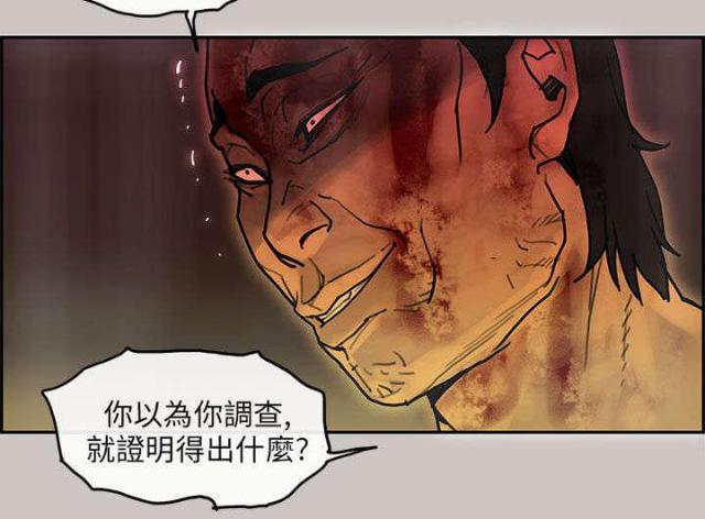 梅蒂斯是哪个国家人漫画,第35话2图