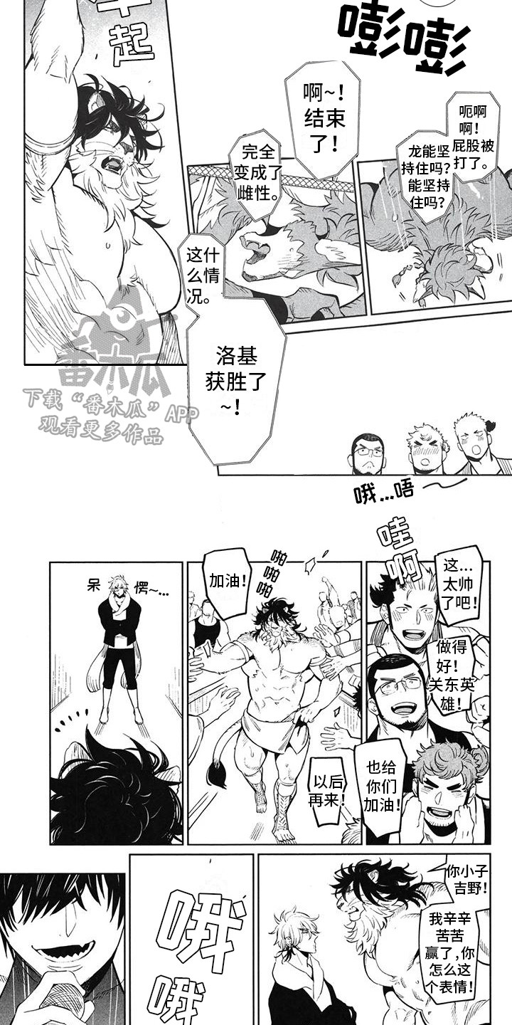 雄狮怎么训练最好漫画,第9章：另类决斗2图