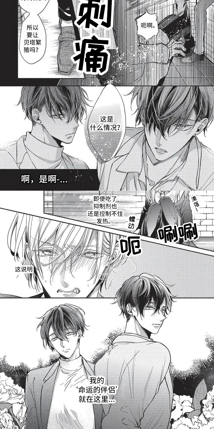 最棒的老师漫画,第1章：命运的伴侣2图