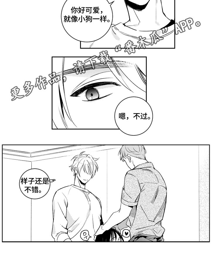 甜蜜社团漫画,第46章：没用的话1图