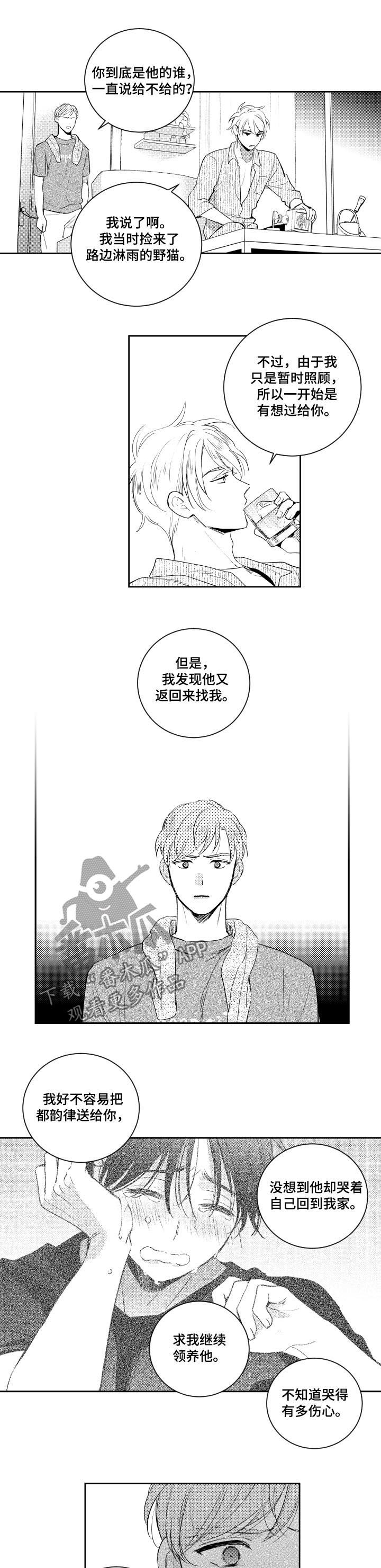 甜蜜社团漫画,第102章：野猫1图