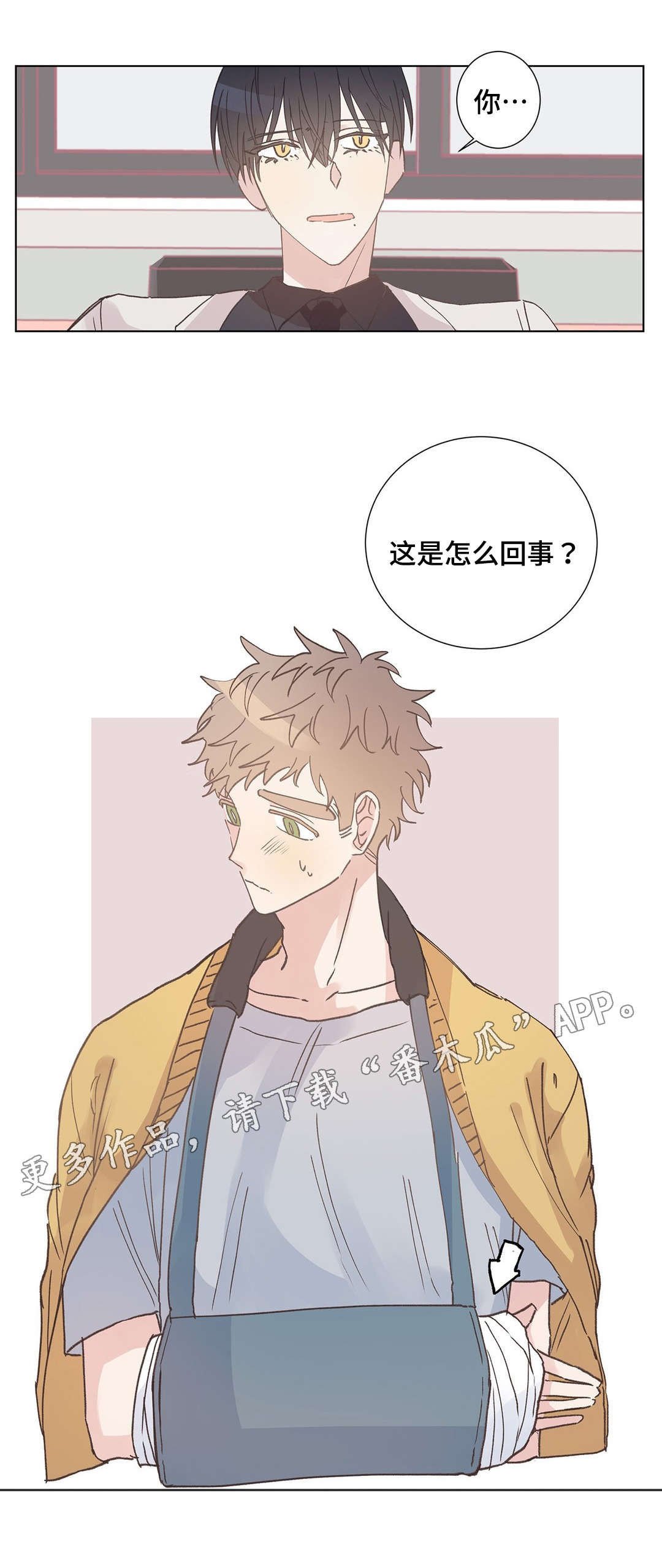 教职工校医老师漫画,第11章：受伤1图