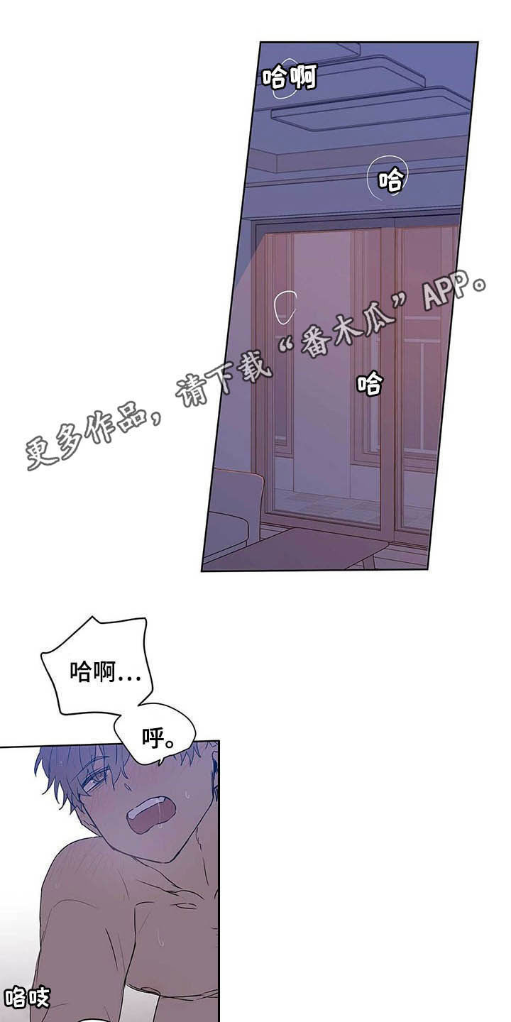 命运指引漫画在线阅读漫画,第46章：没良心1图