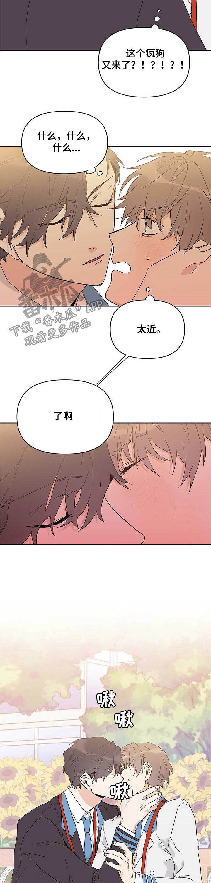 命运指引图片漫画,第30章：有蚊子2图