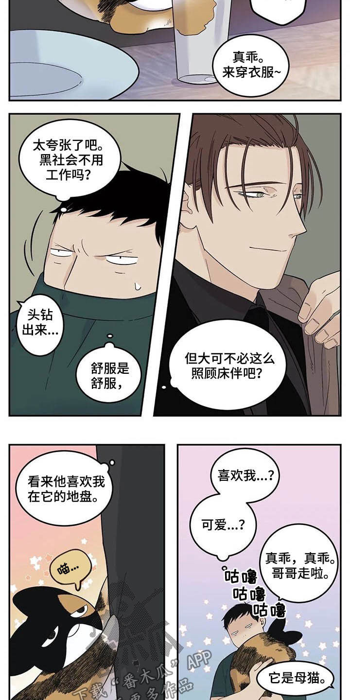 老大的打火机漫画,第73章：粗鲁2图