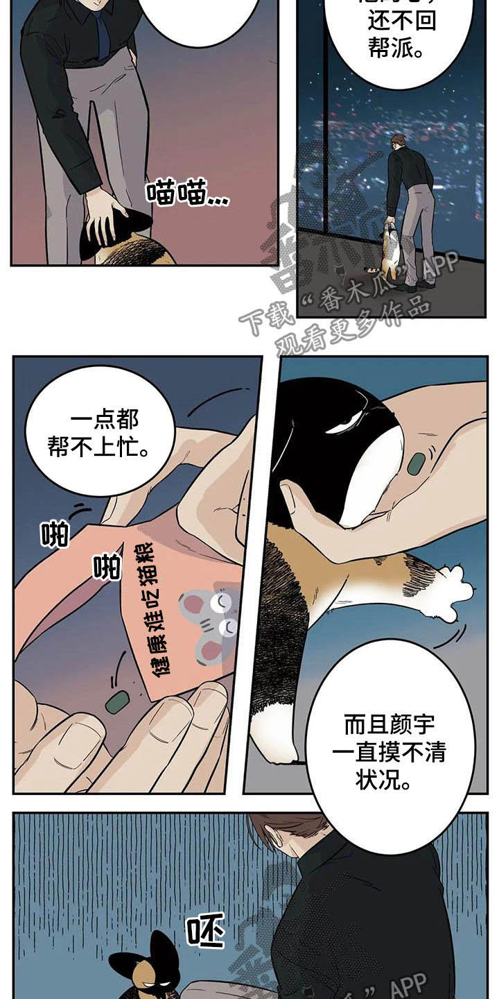 老大的打火机漫画,第81章：流浪动物1图