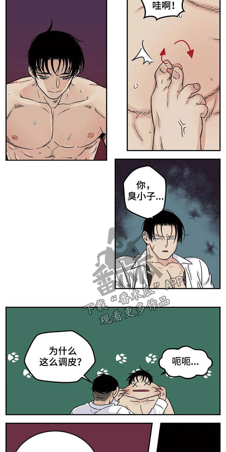 老大的打火机漫画,第79章：喜欢你2图