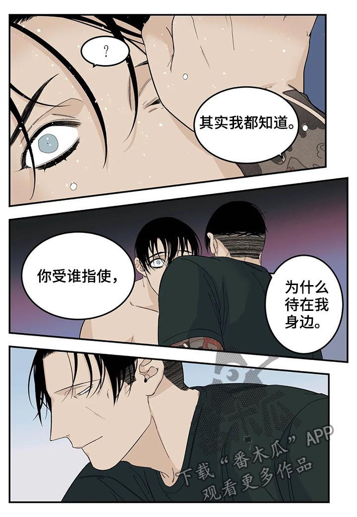 老大的打火机漫画,第70章：让你别说话1图