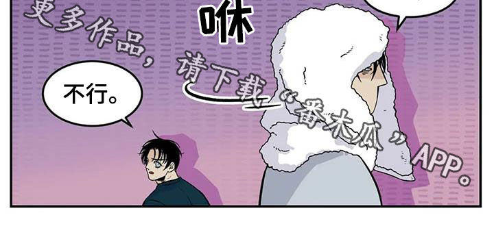 老大的打火机漫画,第81章：流浪动物2图