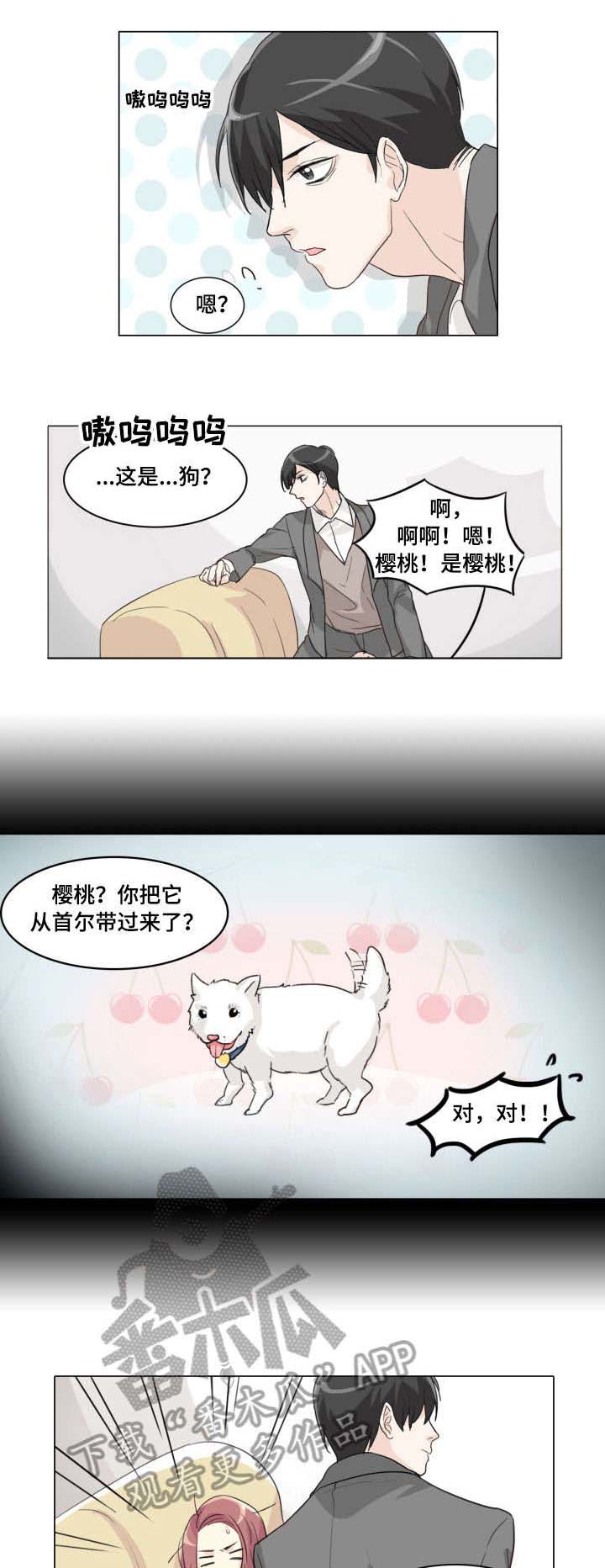 抢孩子犯什么罪漫画,第6章：咬住1图