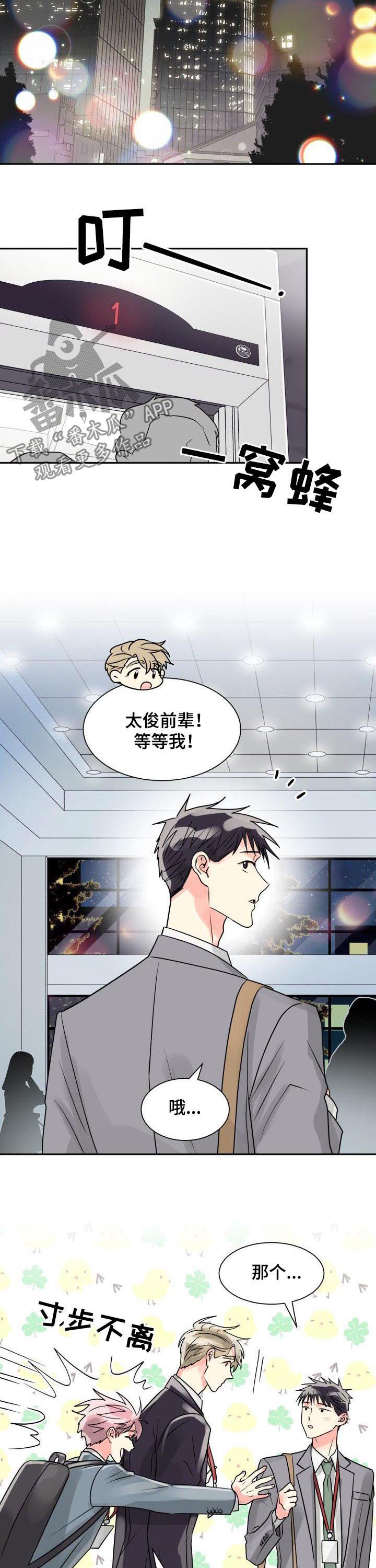 彩虹色是什么漫画,第35章：最合适你的人1图