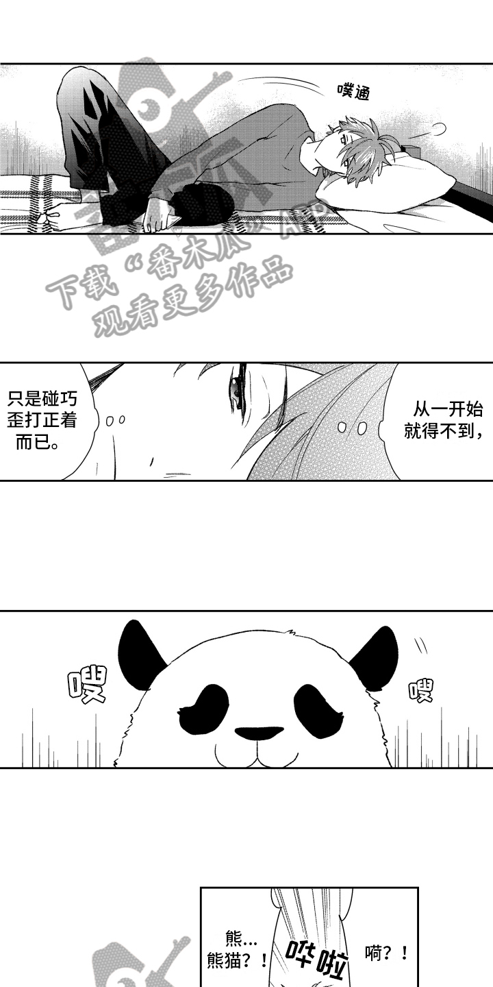 熊猫生活漫画,第18章：重要1图