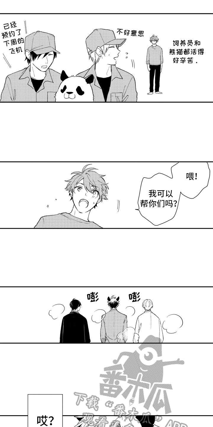 熊猫生活漫画,第18章：重要2图