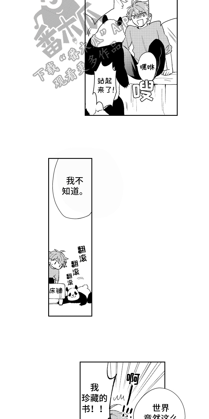 熊猫生活漫画,第18章：重要2图