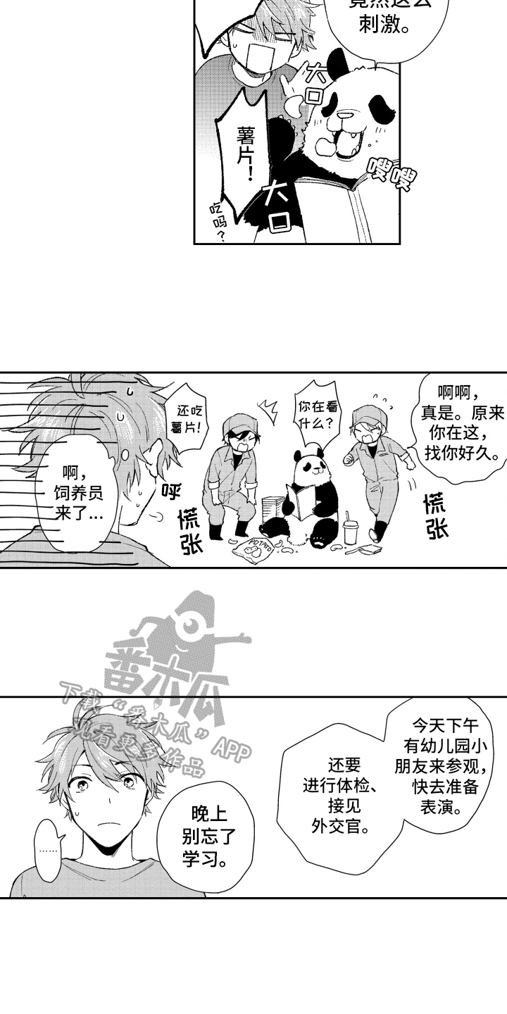 熊猫生活漫画,第18章：重要1图