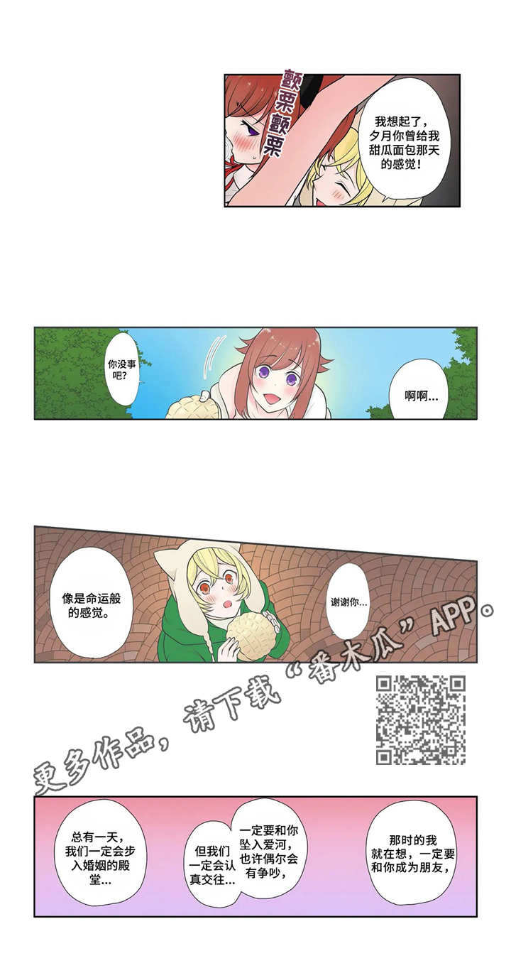 甜瓜面引子的做法漫画,第6章：真面目2图